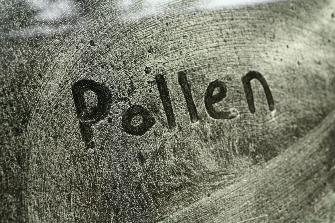 Wort Pollen geschrieben auf einem Fenster