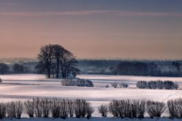 Bipolare Störung Erfahrung: Winterliche Landschaft in der Dämmerung