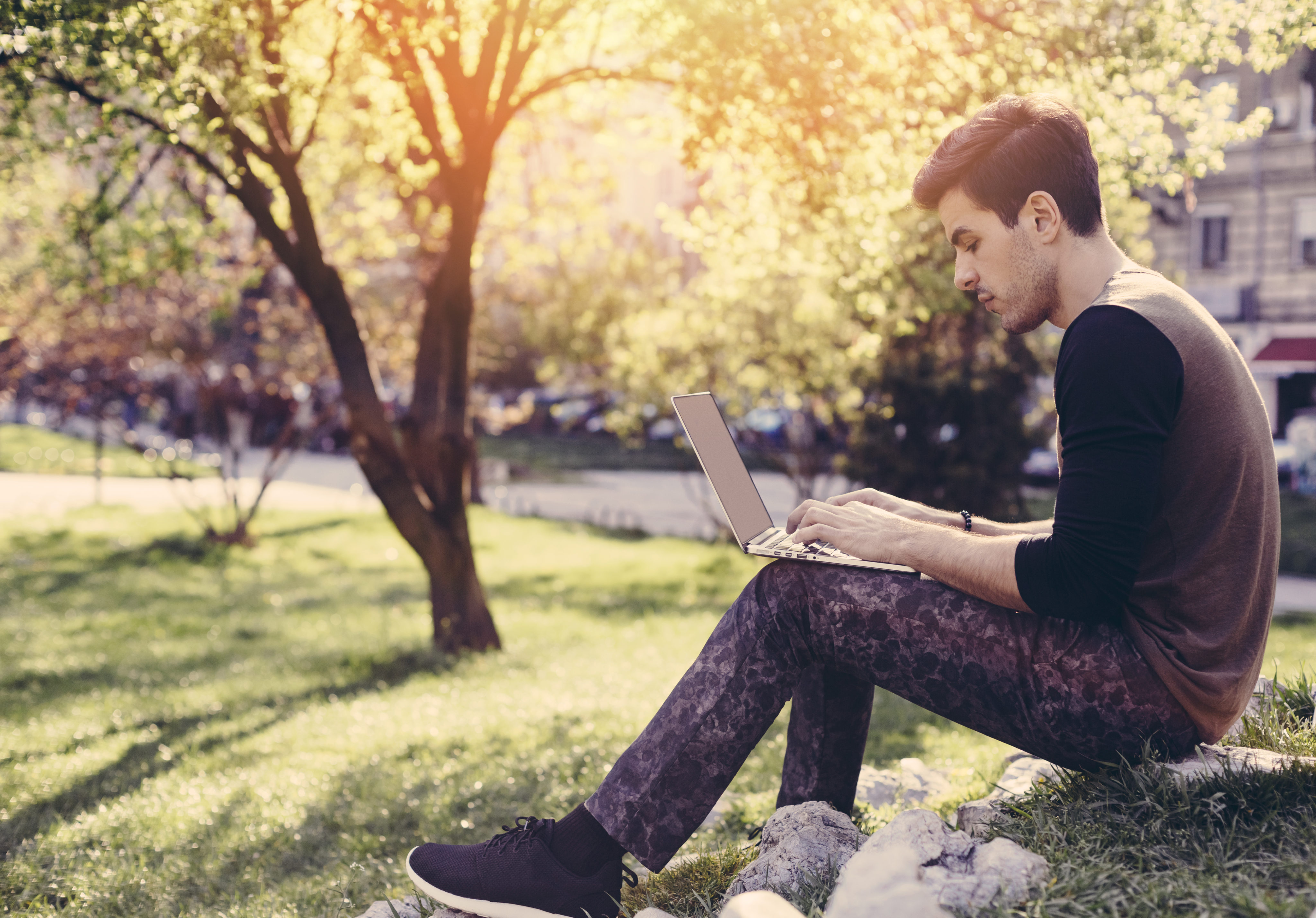 Heuschnupfen Ratgeber: ein junger Mann mit Laptop im Park