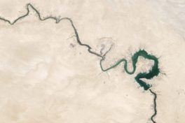 Luftaufnahme eines kurvenreichen Flusses in einer trockenen Umgebung