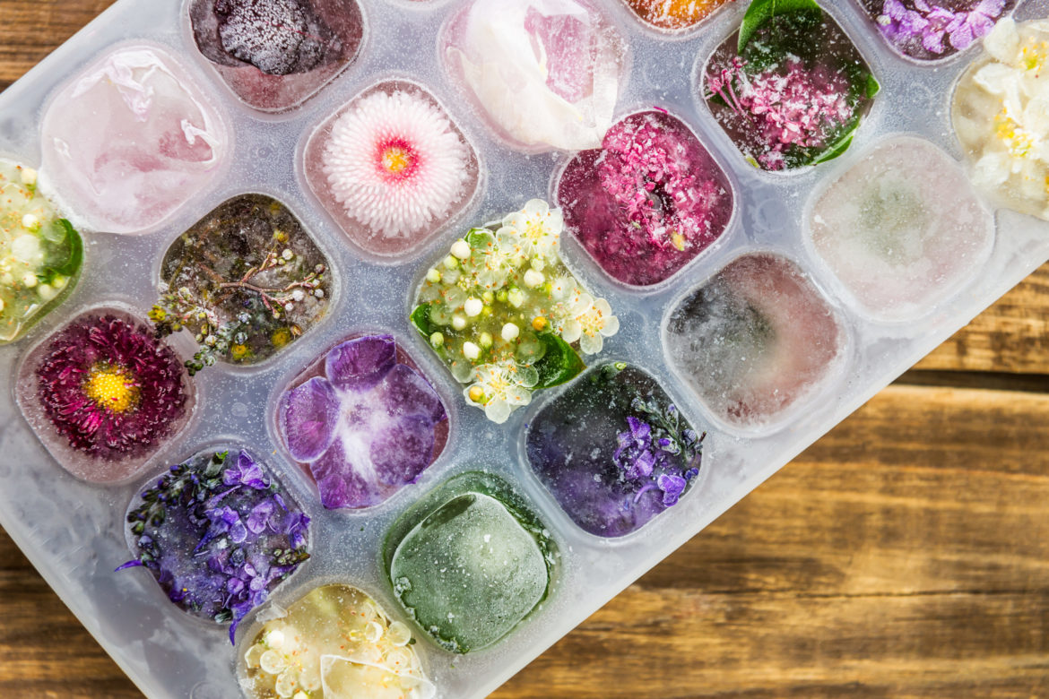 Behälter mit Eiswürfeln und gefrorenen Blüten auf einem Holztisch.