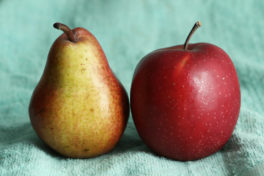 Ein Apfel und eine Birne auf einem blauen Tuch