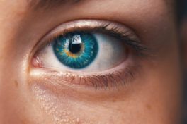 Auge Blau Nahaufnahme