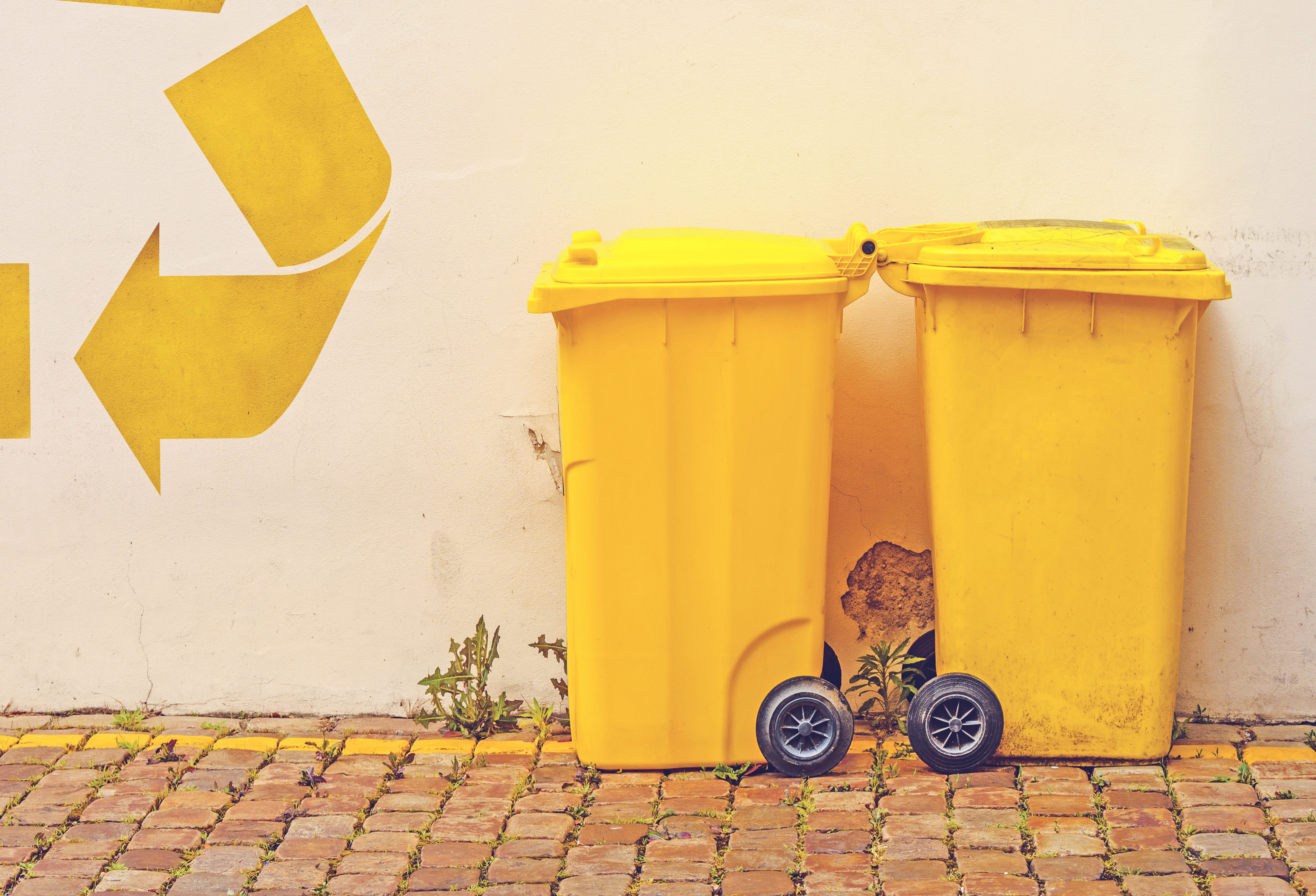 Zwei gelbe Mülltonnen auf Kopfsteinpflaster vor einer Wand mit gelben Pfeilen.