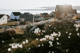 Häuser in Grönland mit Landschaft im Vordergrund