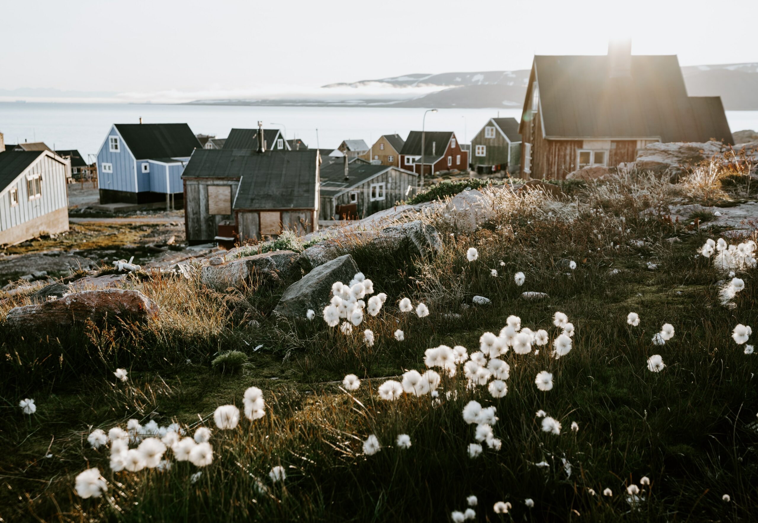 Häuser in Grönland mit Landschaft im Vordergrund