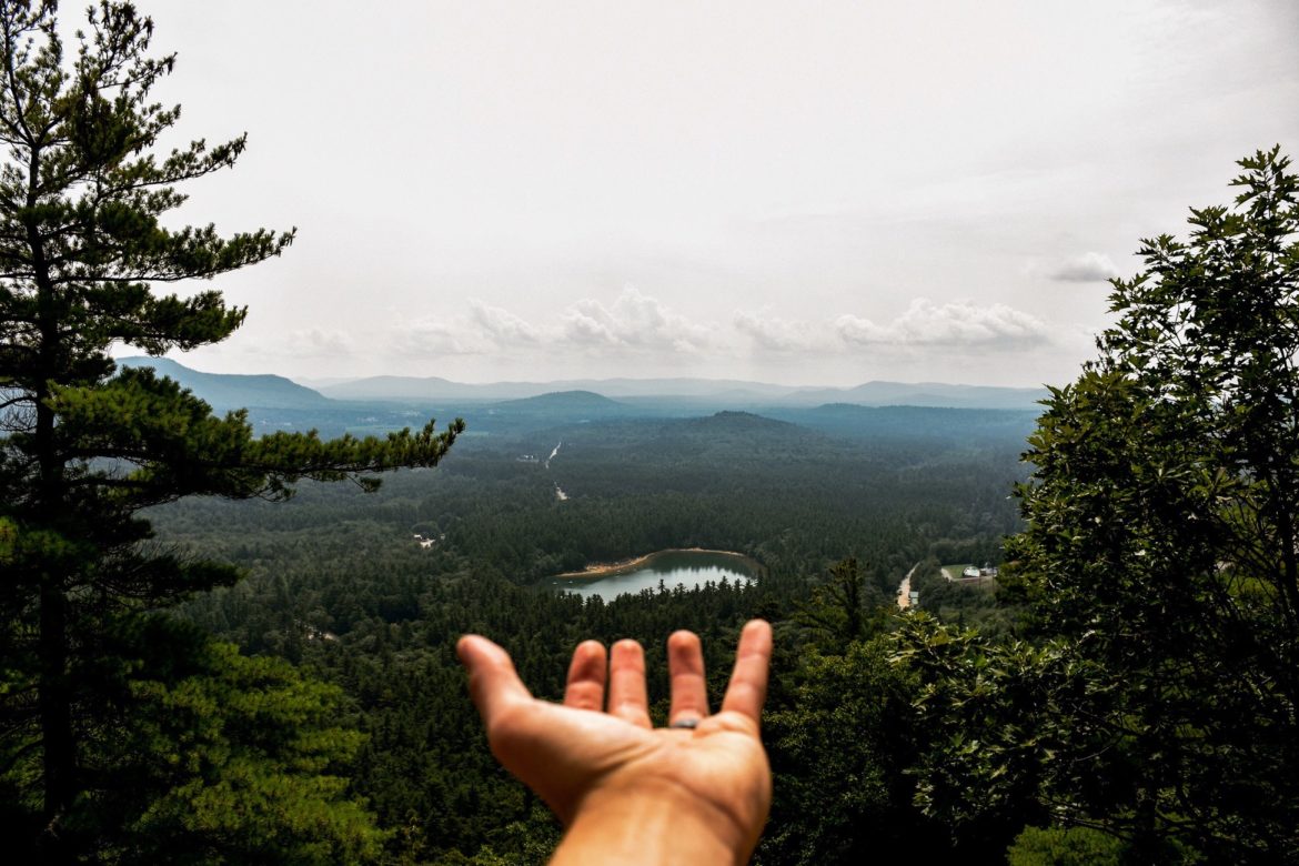 EIne Hnad mit der Handfläche nach oben vor einer Wald, Berge Landschaft.