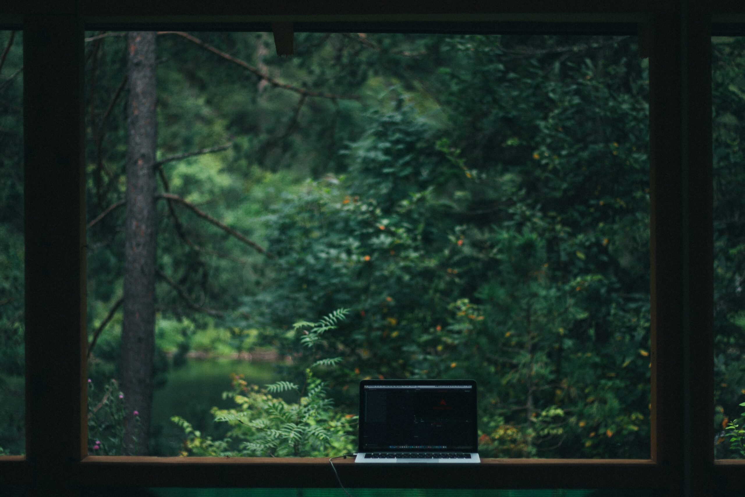 Laptop auf Fensterbank vor Wald