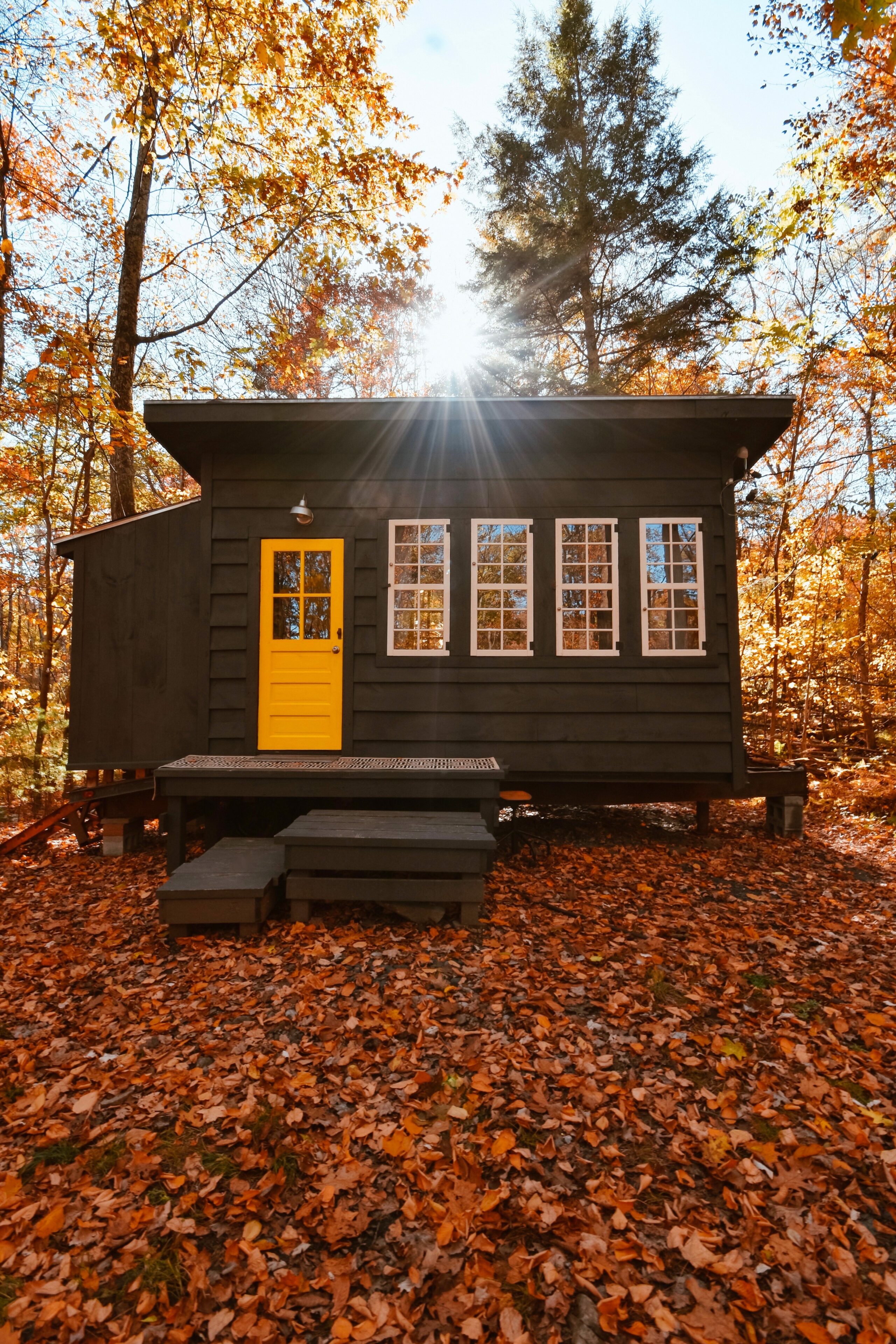Kleines Holzhaus im Wald