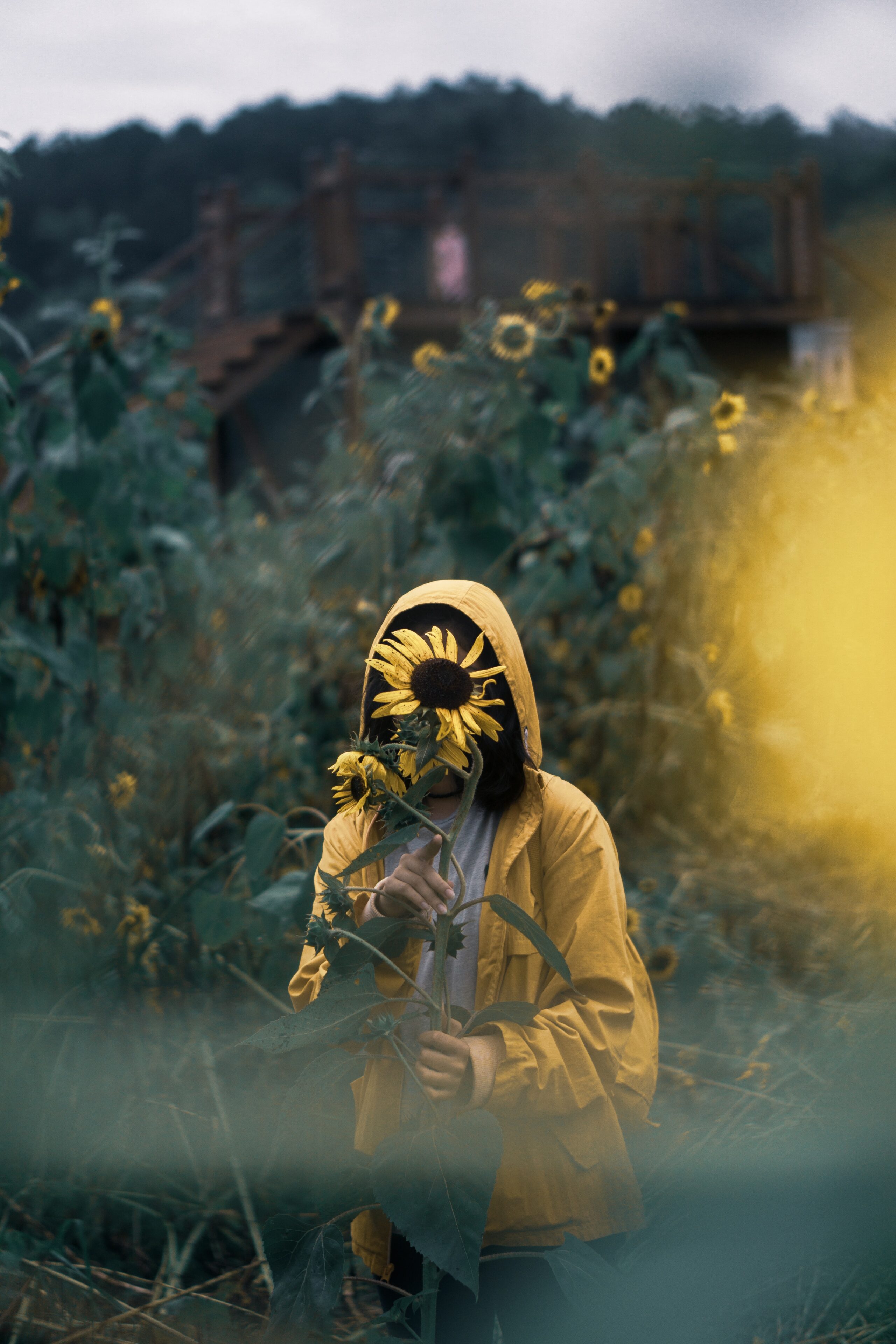 Funktion Milz: Person im Freien, die sich eine Sonnenblume vor das Gesicht hält