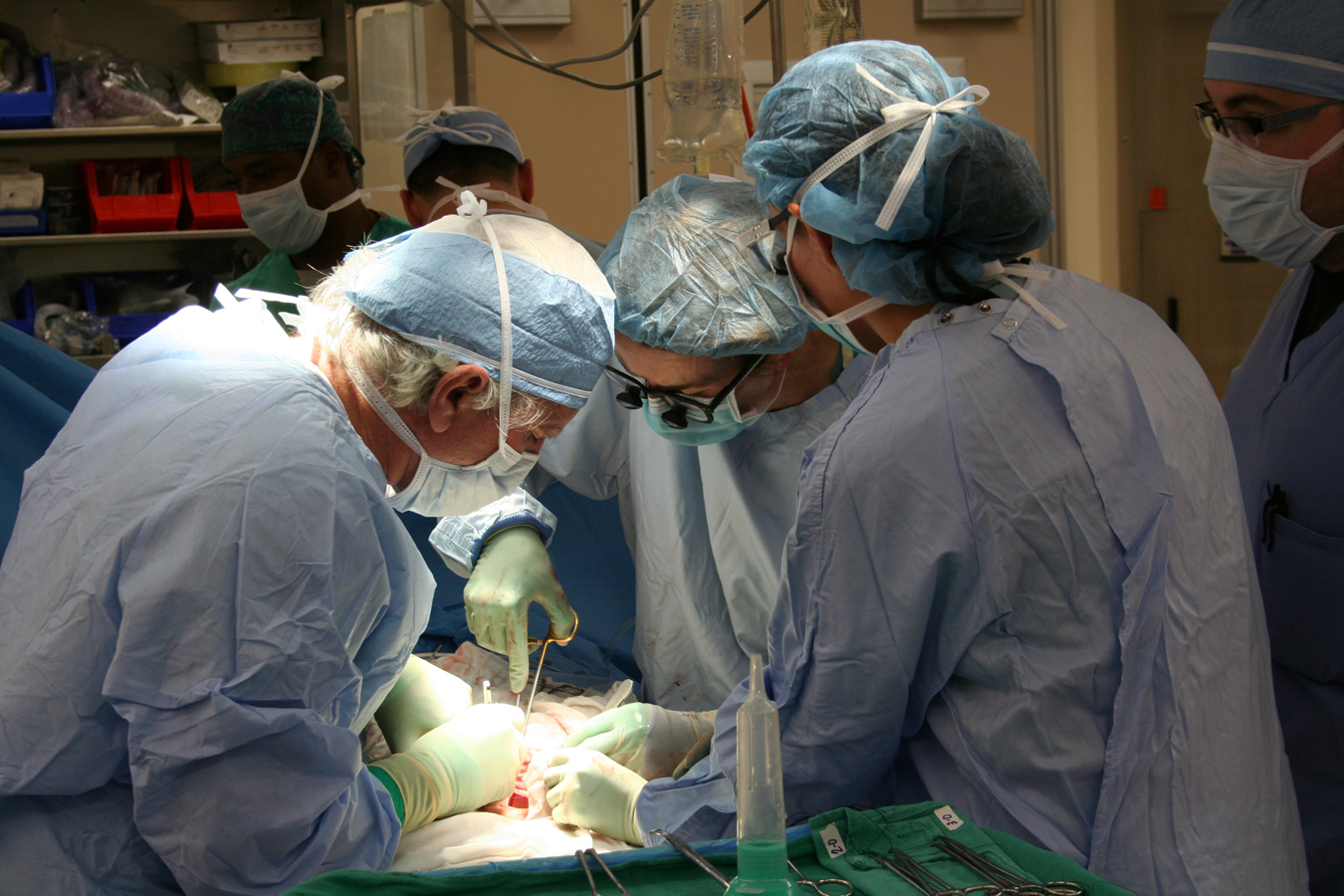 biology-professional-organ-event-medical-surgery-840937-pxhere_small