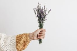 Hand mit Pflanzen