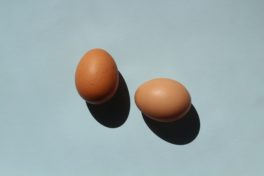 zwei braune Eier