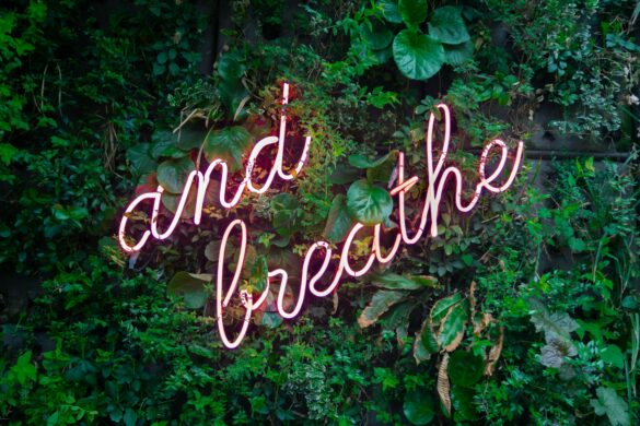 Bronchitis Hausmittel: Neon-Schriftzug "and breathe" auf Blätterwand