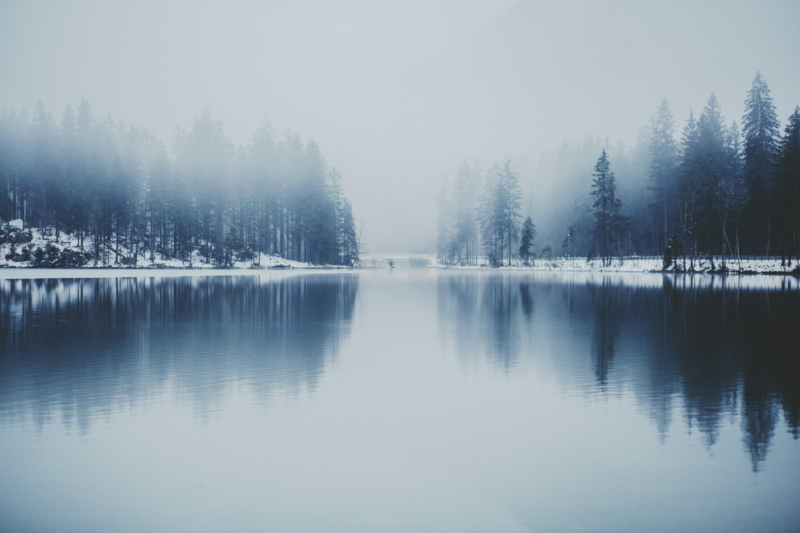 Winterdepressionen: dunkler See, in dem sich rechts und links Tannenbäume spiegeln, und Nebel