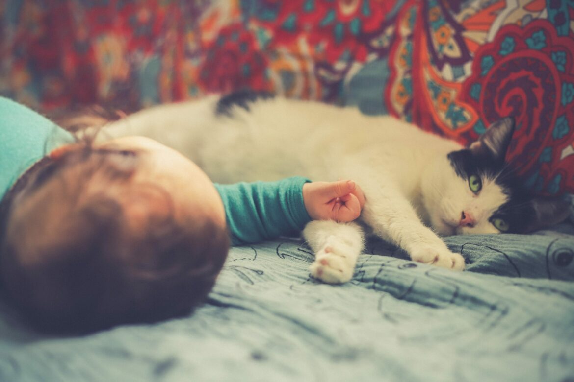 Nahrungsmittelallergien Haustiere: Baby liegt neben einer Katze