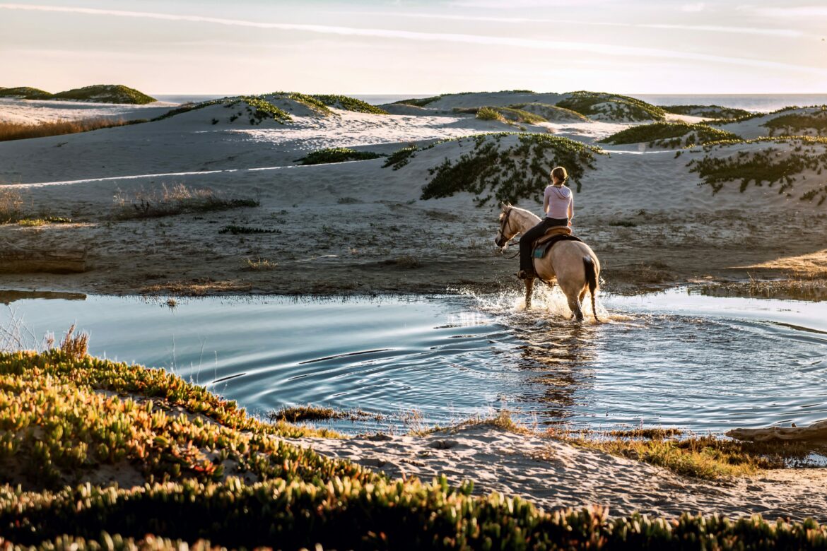 Pferde-Therapie: Reiterin auf weissem Pferd am Strand