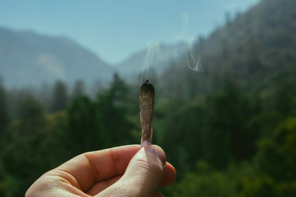 Cannabis Studie Zürich: Joint in der Hand mit Wald im Hintergrund