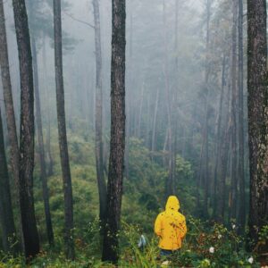 Gelenkschmerzen bei Kälte_Person in gelbem Regenmantel steht im Wald