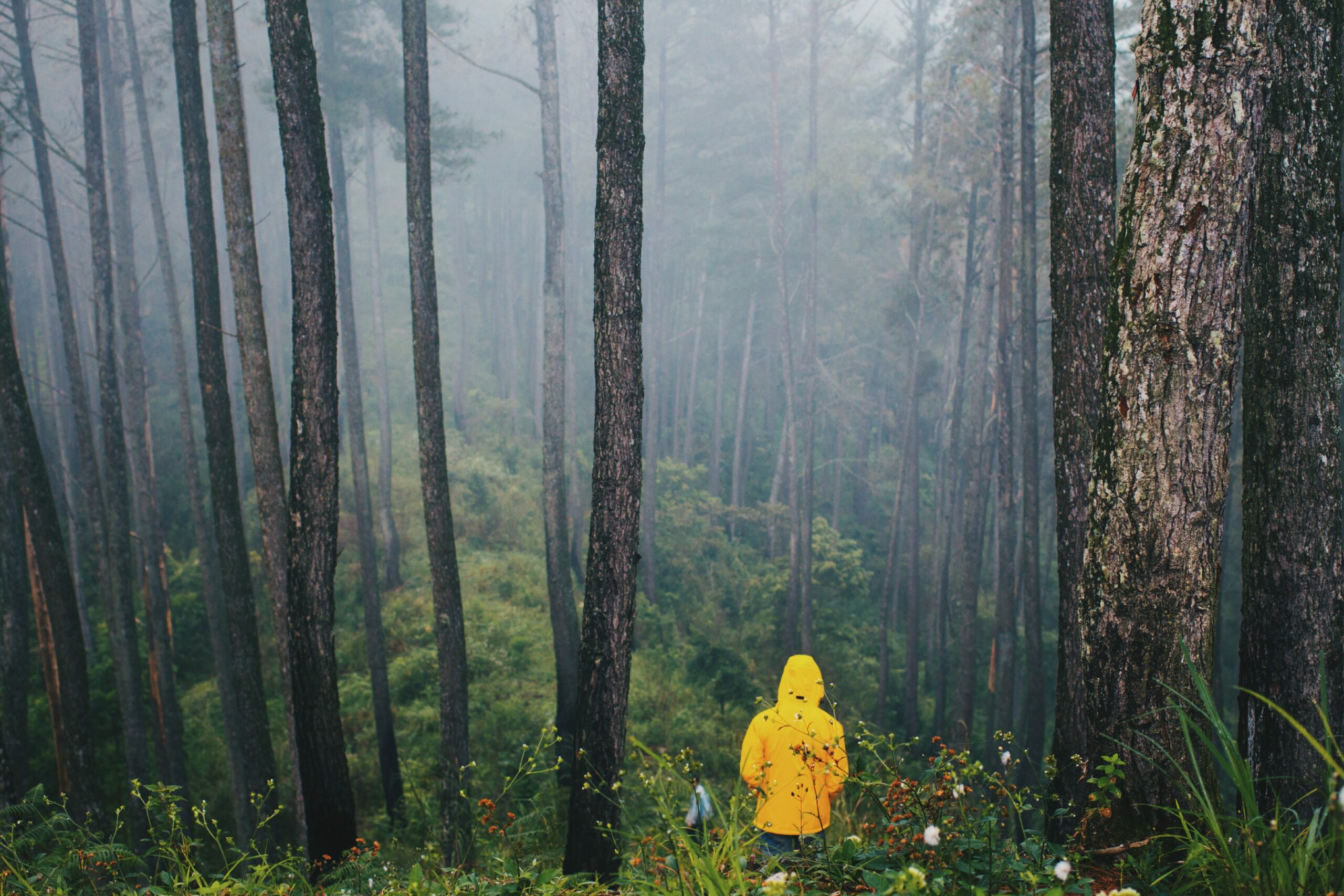 Gelenkschmerzen bei Kälte_Person in gelbem Regenmantel steht im Wald