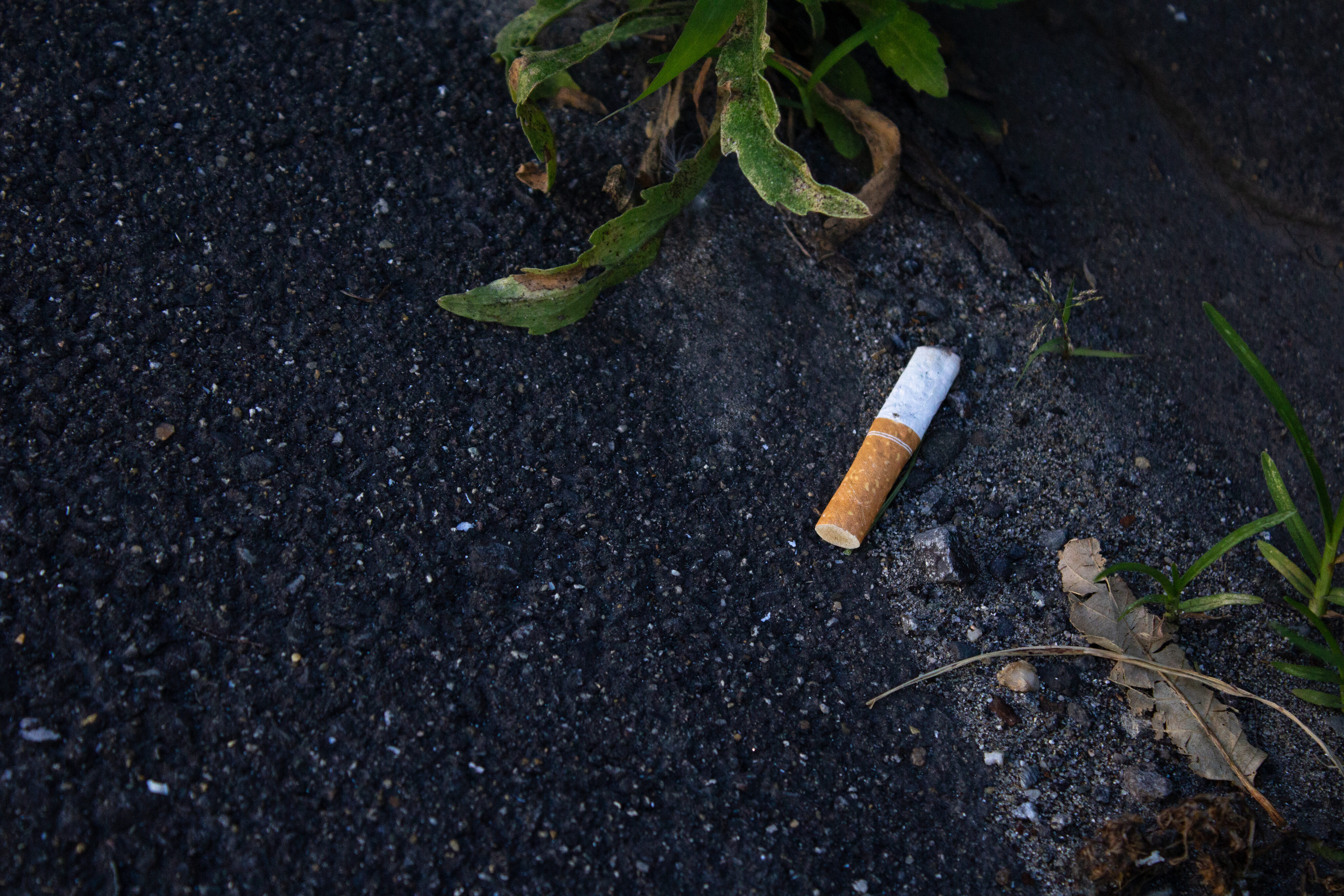 Rauchstopp Tipps: nicht zu Ende gerauchte Zigarette auf Asphalt