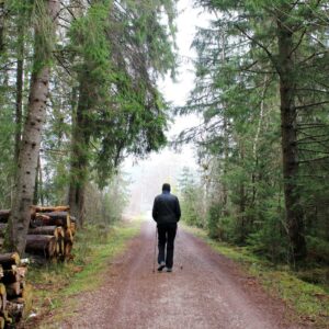 Nordic Walking gesund: Mann beim Nordic Walking im Wald