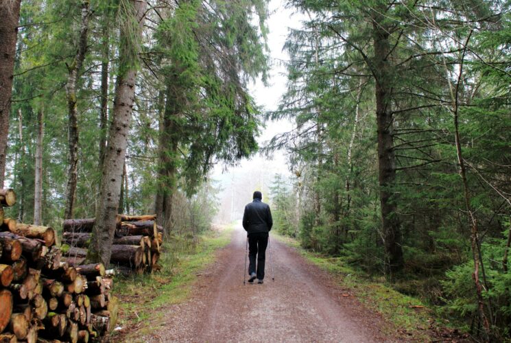 Nordic Walking gesund: Mann beim Nordic Walking im Wald