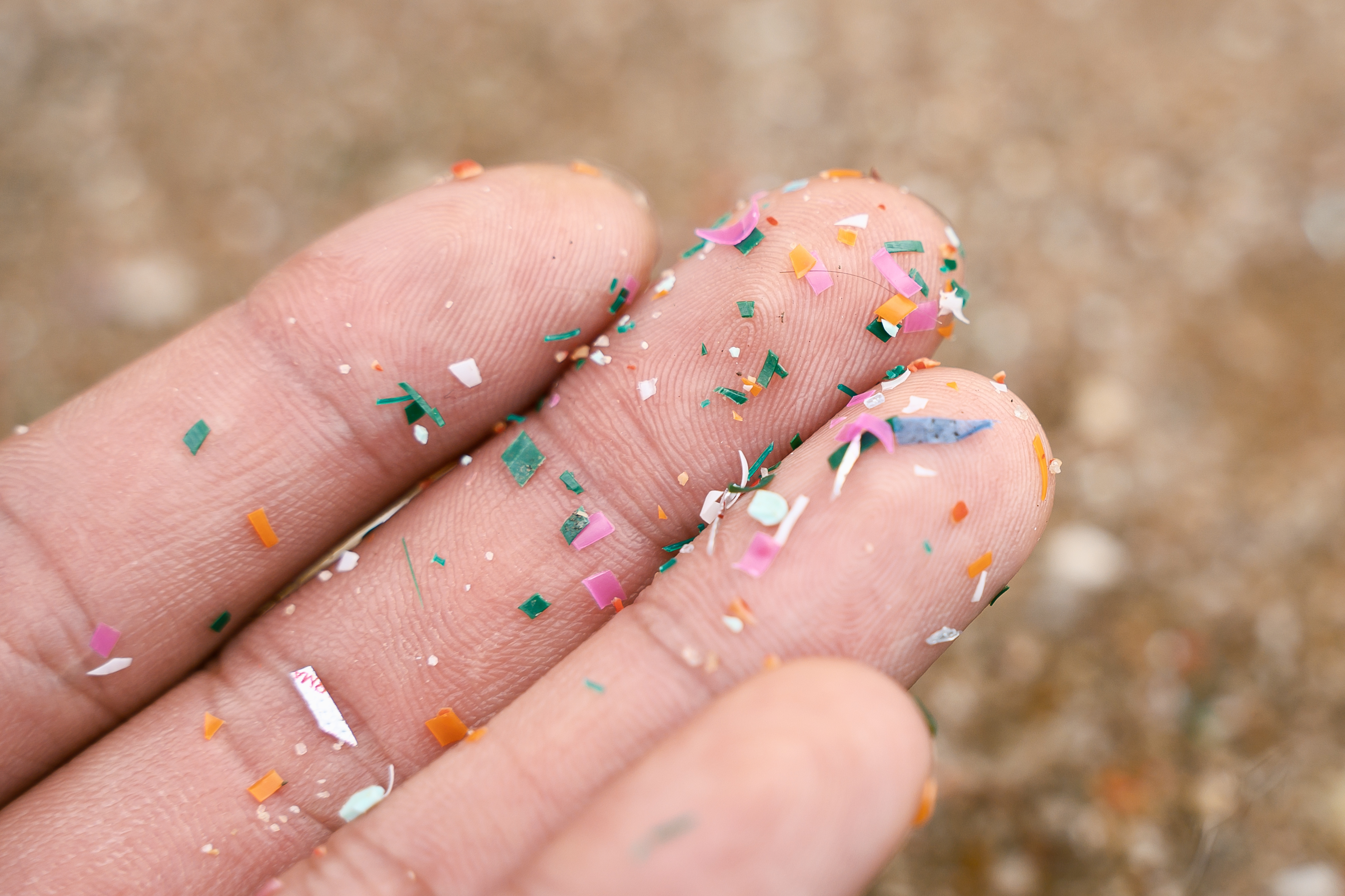 Mikroplastik Körper: Nahaufnahme von Hand, in der Mikroplastik liegt